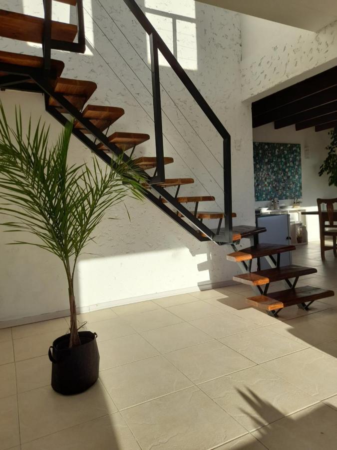 Casa Luminosa Con Parque Y Vista Espectacular Daire El Calafate Dış mekan fotoğraf